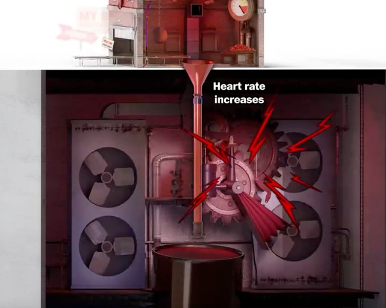 Love spicy food? Hate it? Watch a hot wing’s trip through your body.