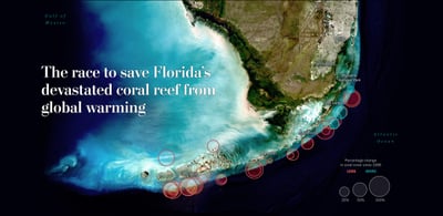 The race to save Florida's devastated coral reef from global warming